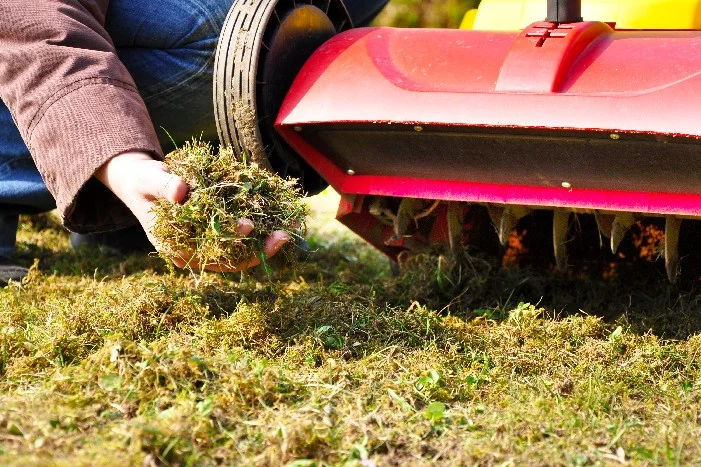 Person hält Rasenstücke in der Hand